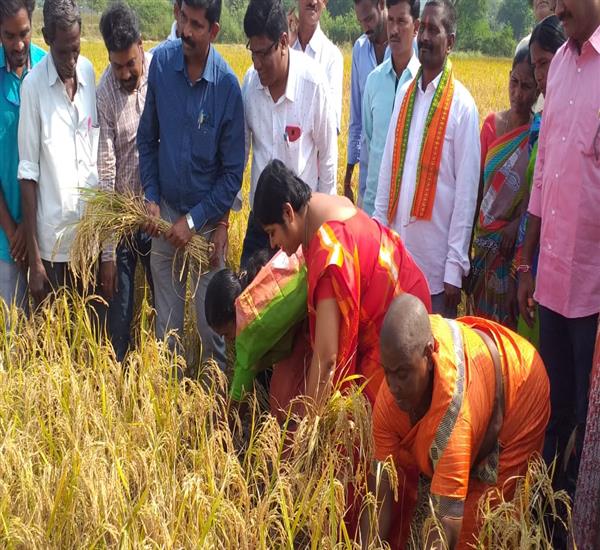 Mancherial District                                                                                                                                                                                                                                        - Crop Cutting Expts.,                                                                                                                                   - PMFBY Paddy Crop Cutting Expts Visit to Hon,ble District Collector, Mancherial                                                                                                                                                                                  - dt.04/12/2019          